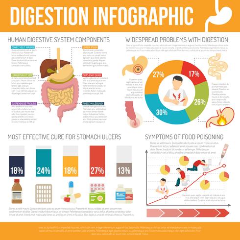 conjunto infografía digestión vector