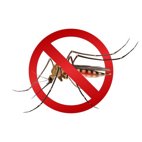 Mosquito stop sign vector