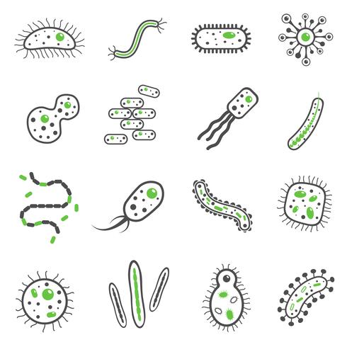 Conjunto de iconos de bacterias negras vector