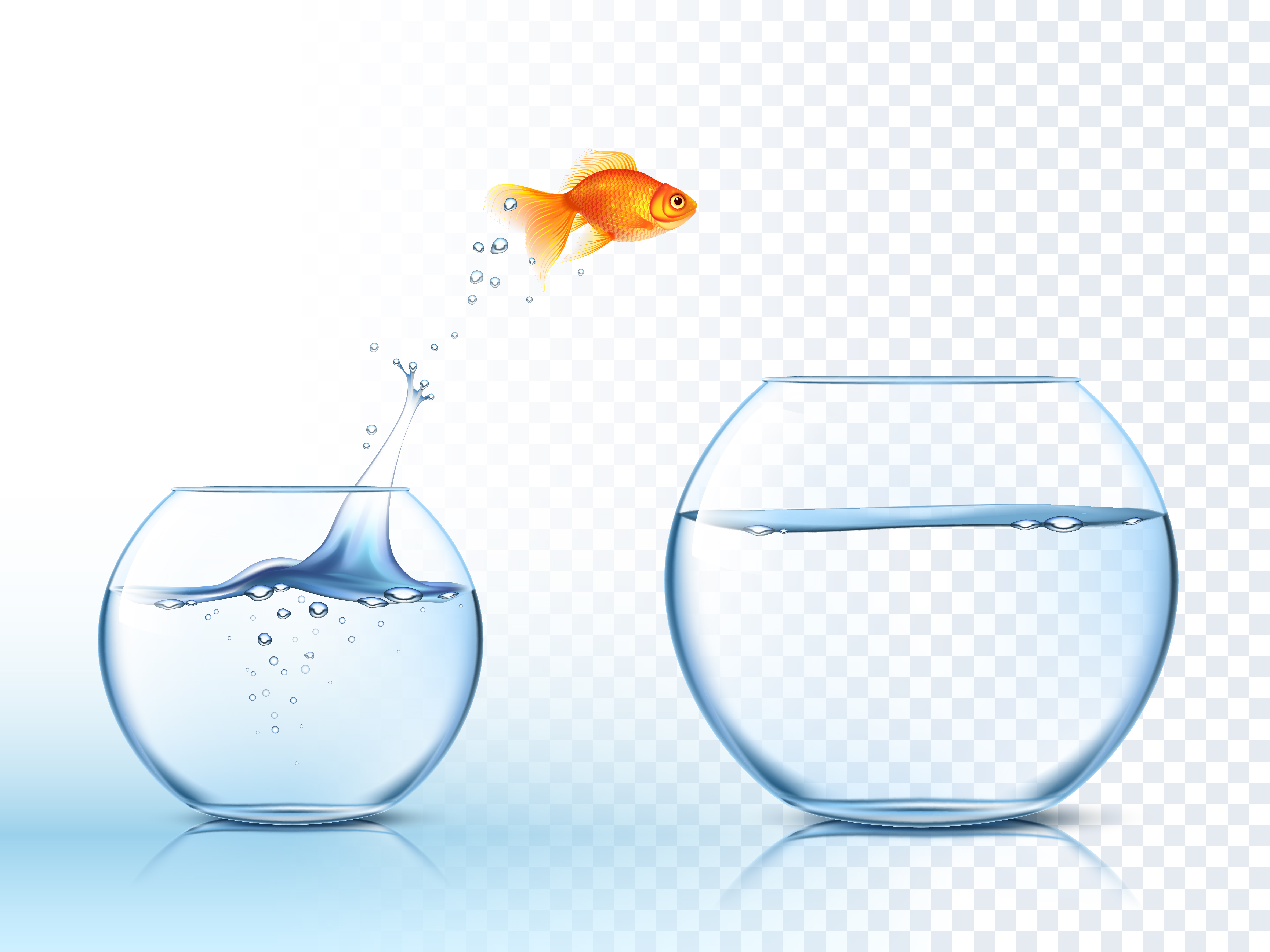 Glass Jumping Out Of Colored Water Goldish Jumps Out Water Bowl Picture Free