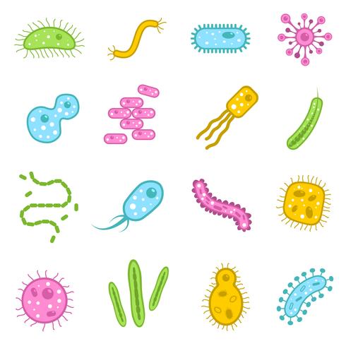 Bacteria icons set vector