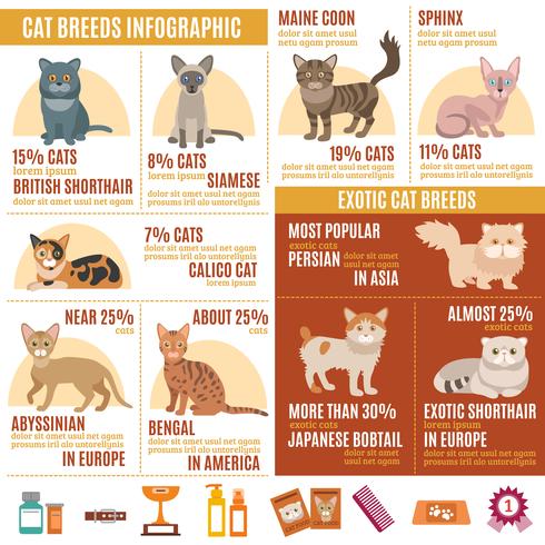 Conjunto de infografías de gatos. vector