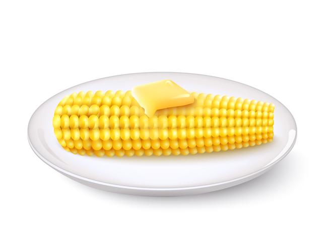 Realistic Corn Cob vector