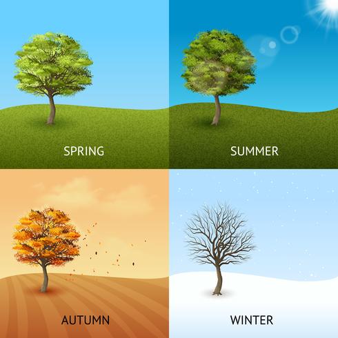 Tree concept set vector