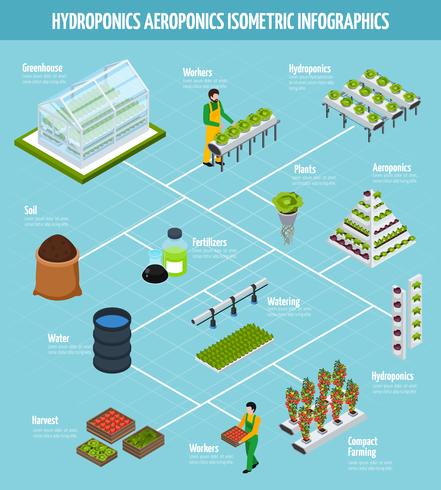 Conjunto de infografía hidropónica vector