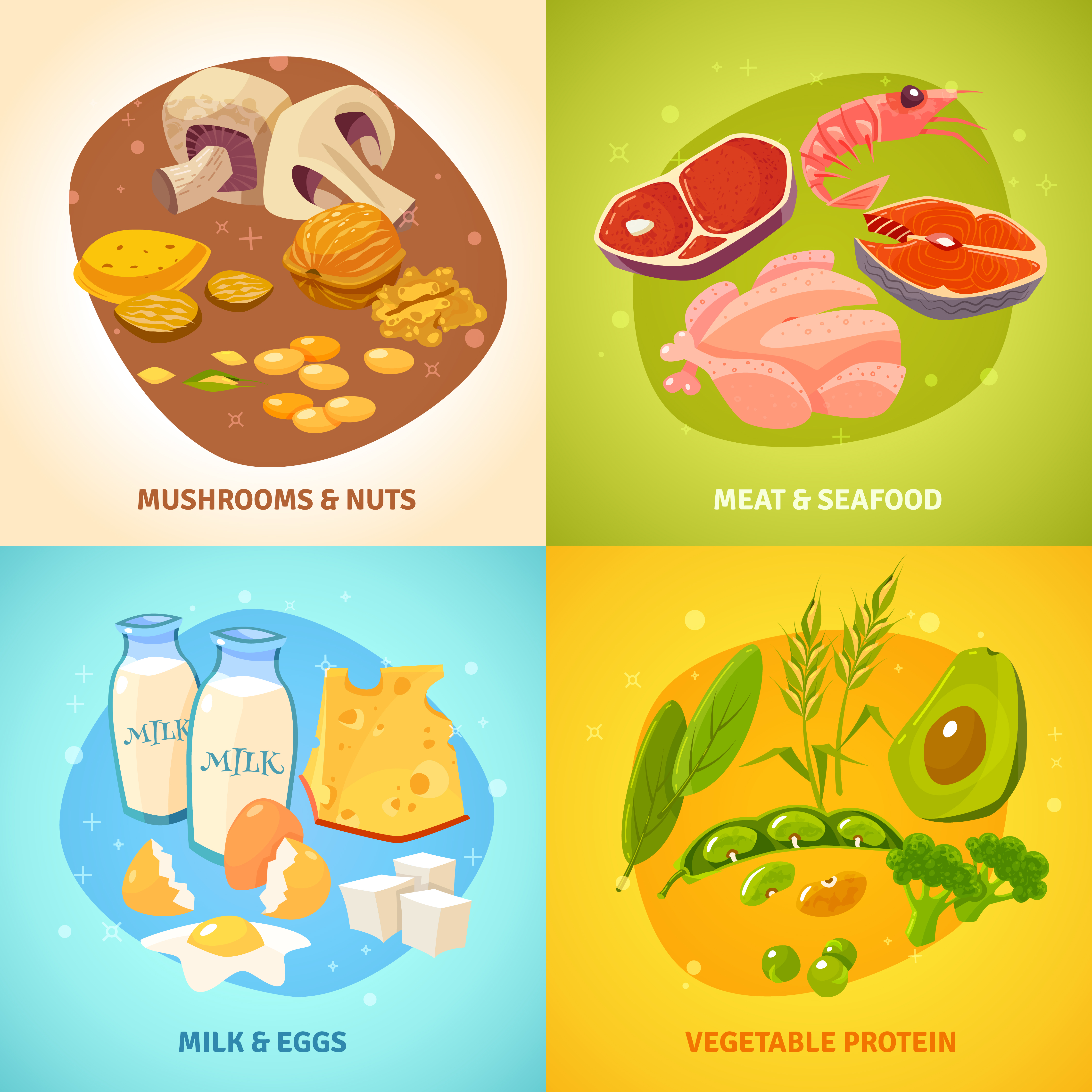Protein Food Concept 4 Icons Square 474503 Vector Art At Vecteezy protein-food-concept-4-icons-square-474503-vector-art-at-vecteezy