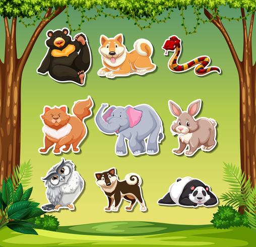 Conjunto de pack de pegatinas de animales. vector