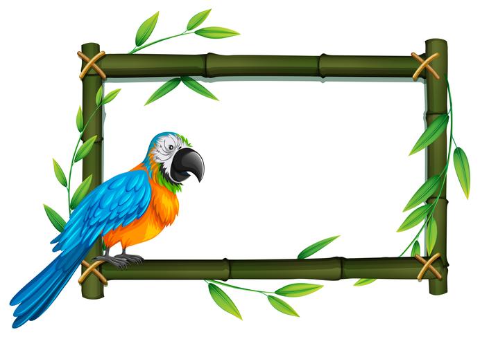 A parrot on bamboo border vector