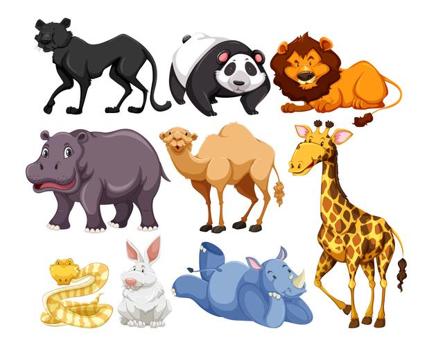 mezcla de animales de vida silvestre vector