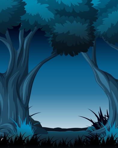 Night Scene With Trees vector