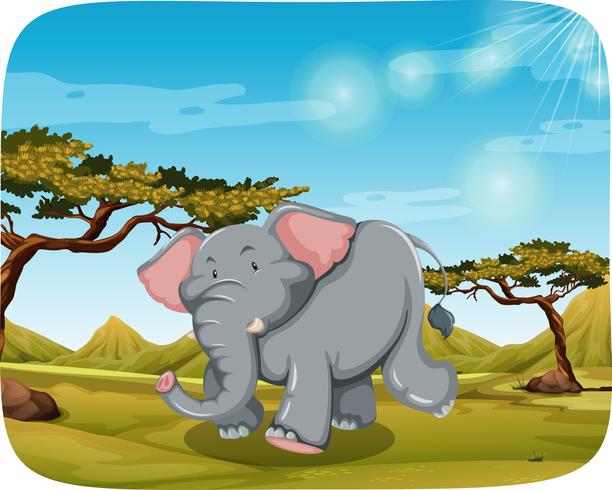 elephant in african scene vector