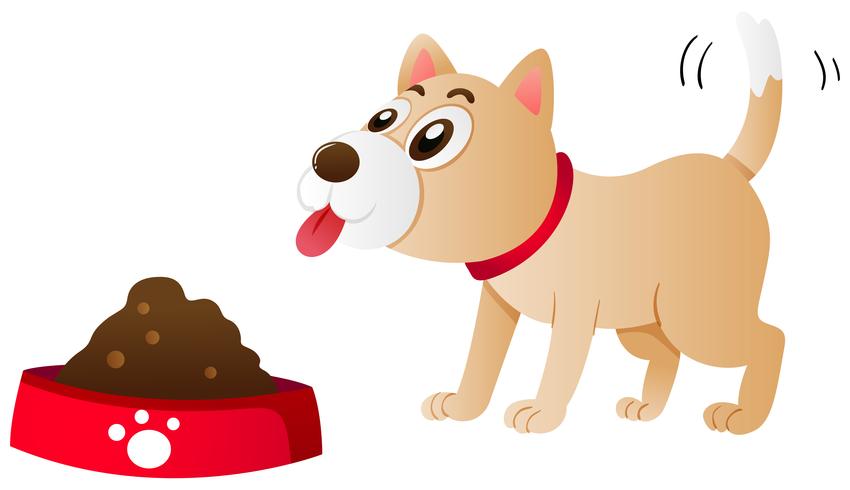 Dog eating food from the bowl vector