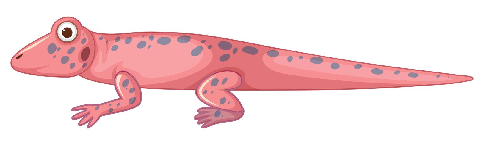 fondo lagarto rosado blanco vector