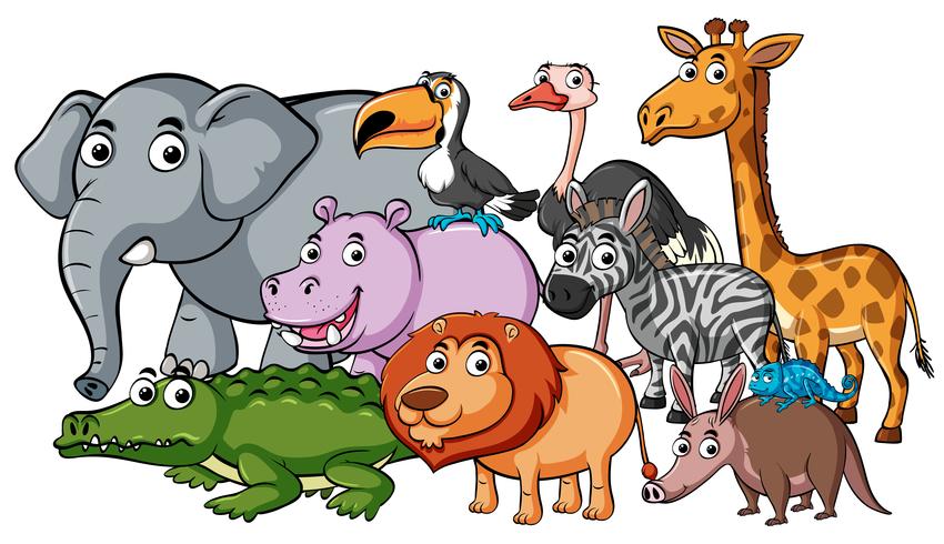 Different kinds of wild animals vector
