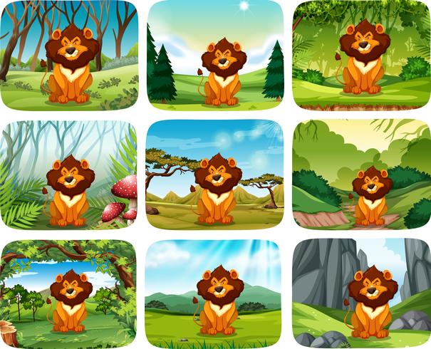 Paquete de diferentes escenas de león vector
