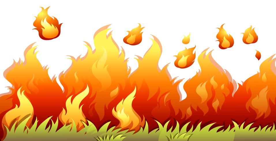 A bushfire flame on white background vector