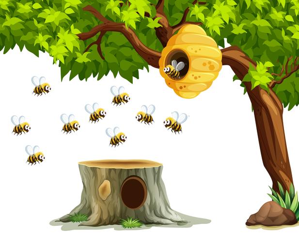 Cartoon Beehive - Bees Flying Around Beehive On The Tree 474681 Vector ...