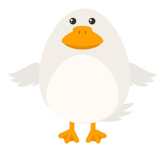 White duck on white background vector