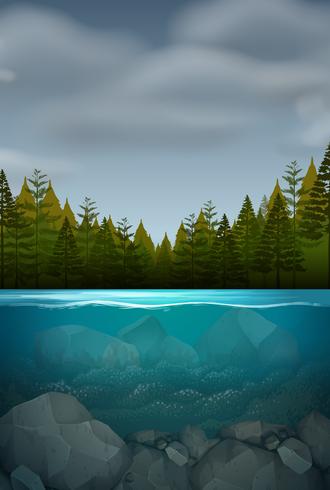 An underwater nature landscape vector
