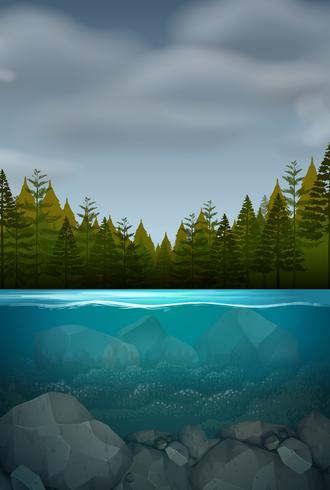 Un paisaje de naturaleza submarina. vector