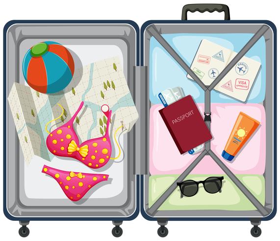 Travel element in the luggage vector