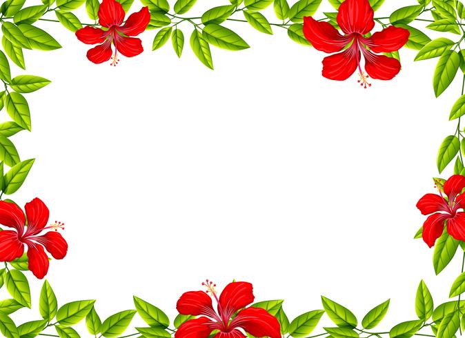 A hibiscus flowr frame vector