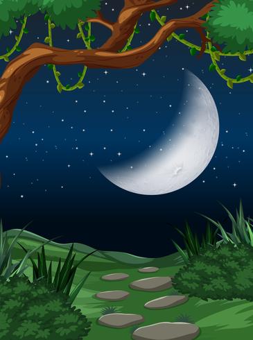 Cresent moon nature scene vector