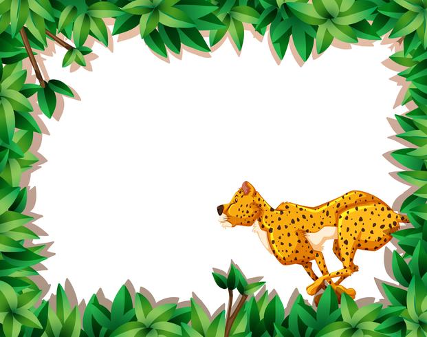 Cheetah in nature frame vector