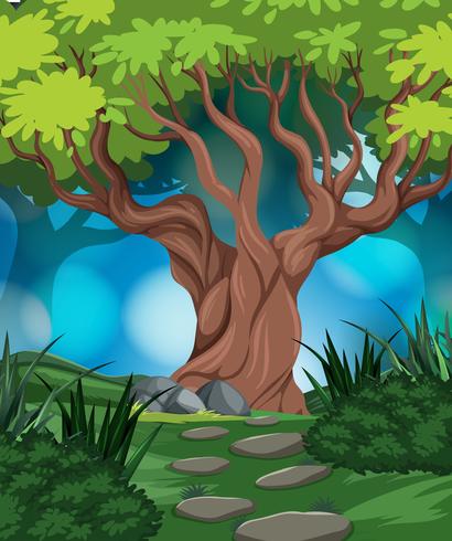 woods in the nature scene vector