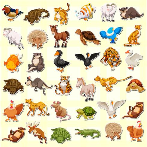 Set of animal sticker vector