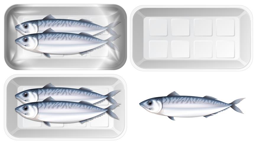 Set of mackerel in package vector