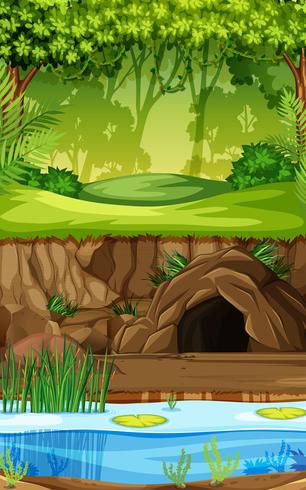 A tropical rainforest background vector