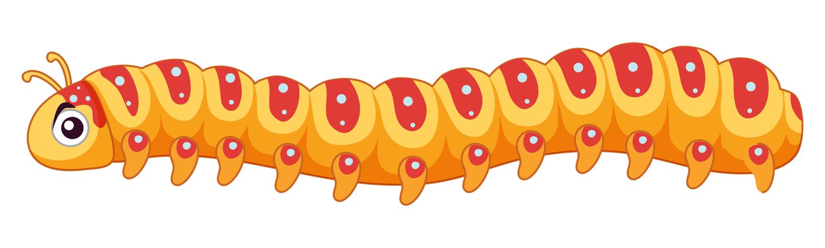 A cute caterpillar character vector