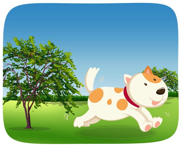 A dog runing in the park vector