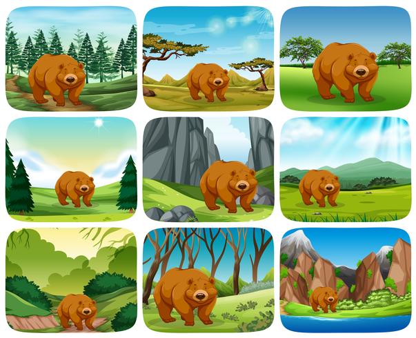 Brown bear in nature scenes vector