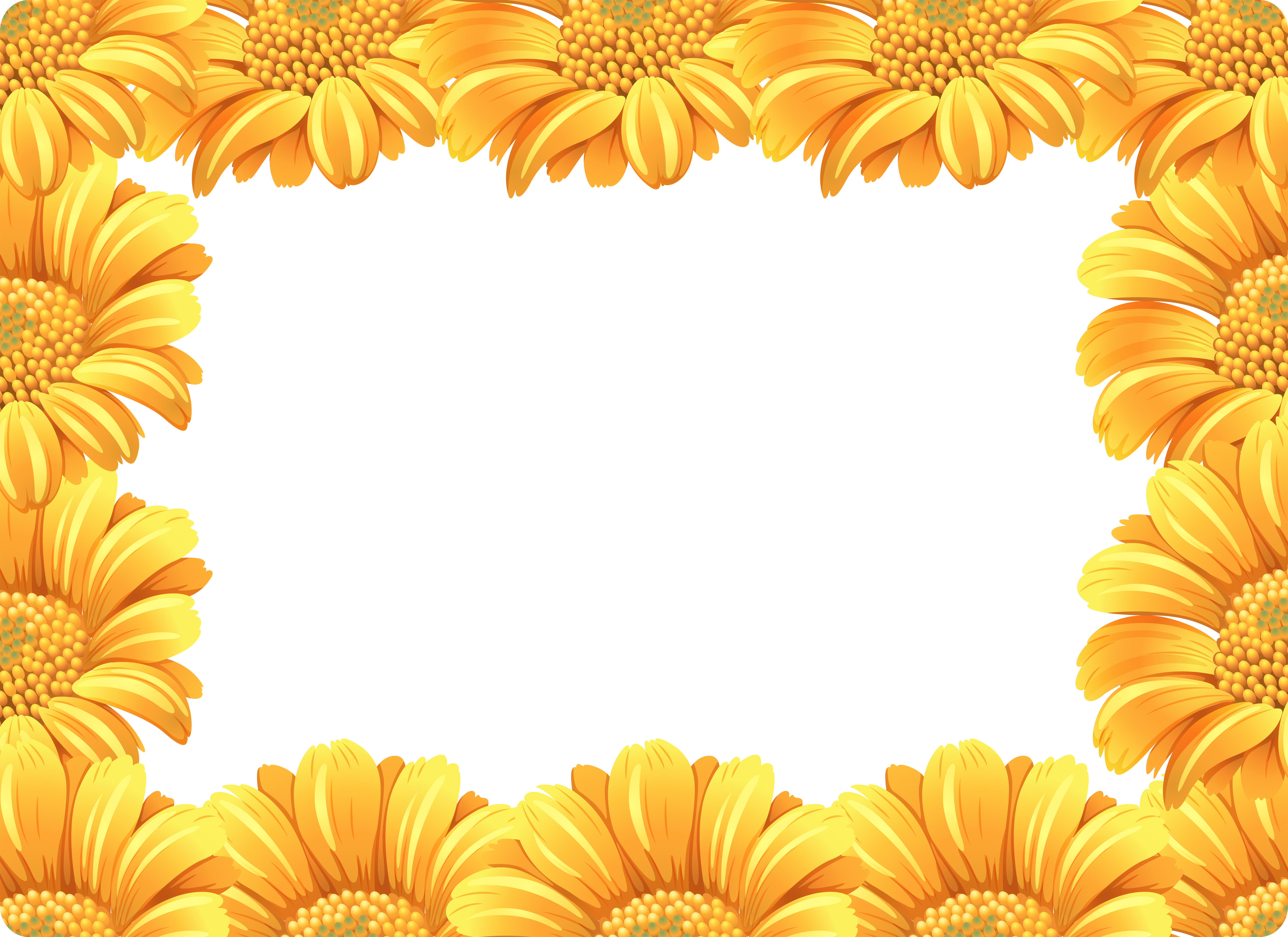Download Yellow daisy flower border - Download Free Vectors ...
