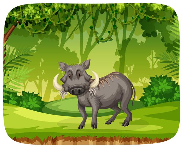 Swine In The Jungle vector