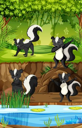 Four Skunks In Jungle vector