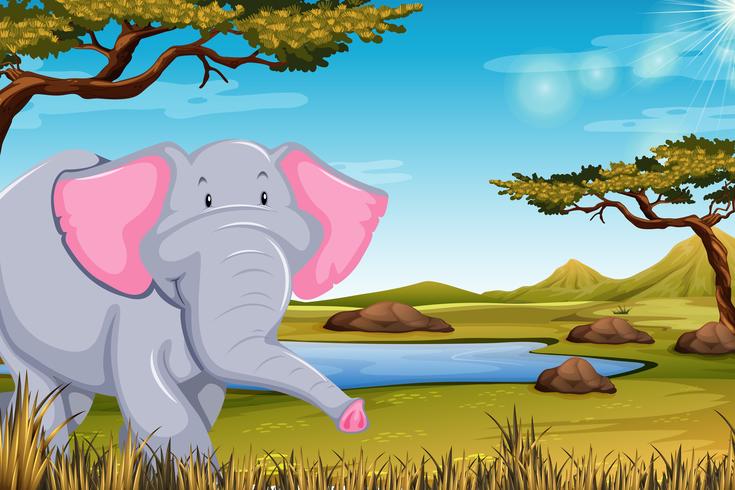 Elefante en escena africana vector