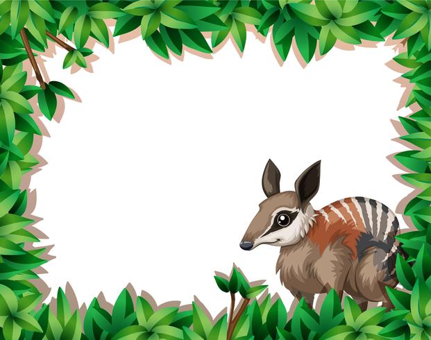 A numbat on nature frame vector