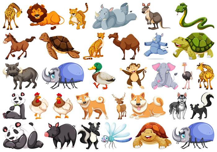 Conjunto de caracteres animales. vector