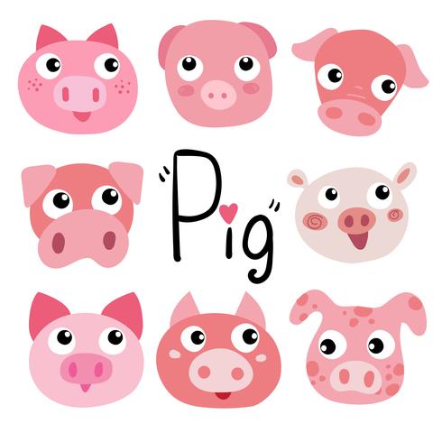 pig character vector design