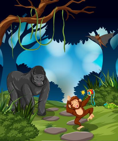 Ape in the rainforest vector