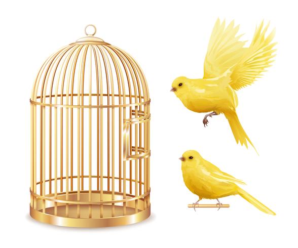 Golden Canary Cage Set vector