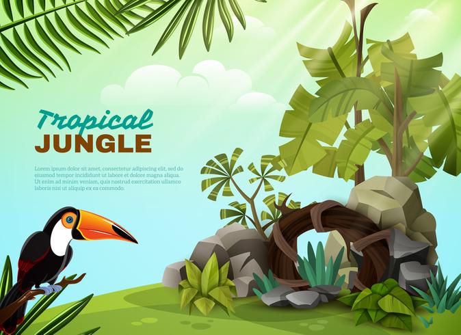 Tropical Selva Tucán Jardín Composición Poster vector