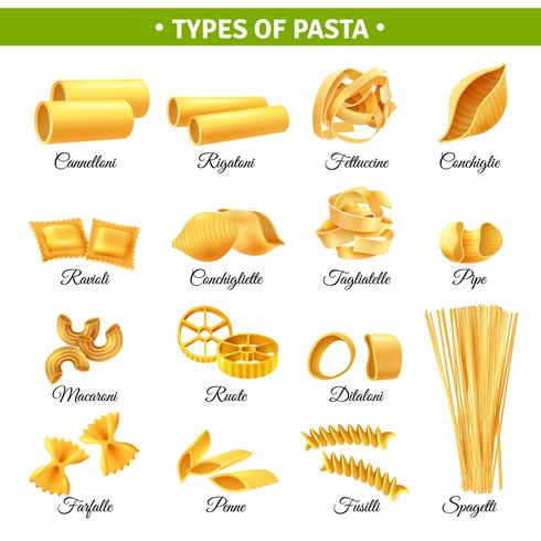 Tipos de pasta infografía vector