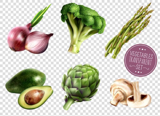 Vegetables Transparent Set vector