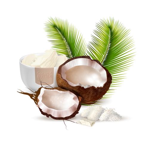 Coconut Realistic Illustration vector