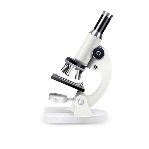 Realistic Microscope Composition  vector