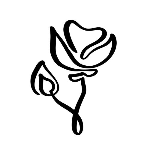 Flor rosa concepto logo organico. Línea continua de dibujo a mano de vectores caligráficos. Elemento de diseño floral de primavera escandinavo en estilo minimalista. en blanco y negro